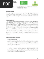 convocatoria 2.pdf