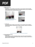 Download Biochem Lab Act 10 TESTS FOR CARBOHYDRATES by Dixi Dawn SN151430973 doc pdf