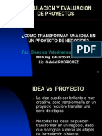 Curso Formulacion y Evaluacion de Proyectos - Tecnologia Alinentos FCV