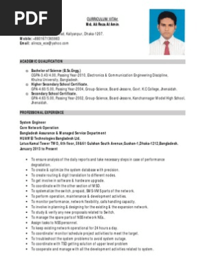 Professional CV