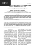 Download 5 Potensi Antibakteri Ekstrak Daun Jeruju Acanthus Ilicifolius Terhadap Vibrio Harveyi Secara in Vitro by Nedy Way SN151450933 doc pdf