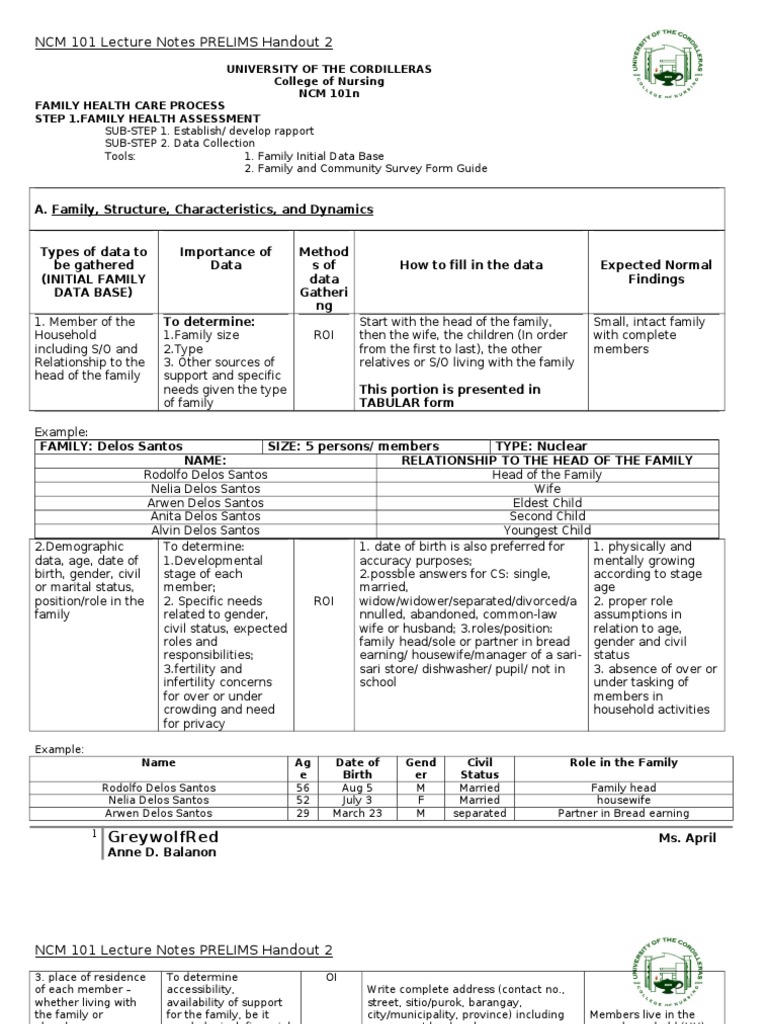 Template For Family Nursing Care Plan PDF