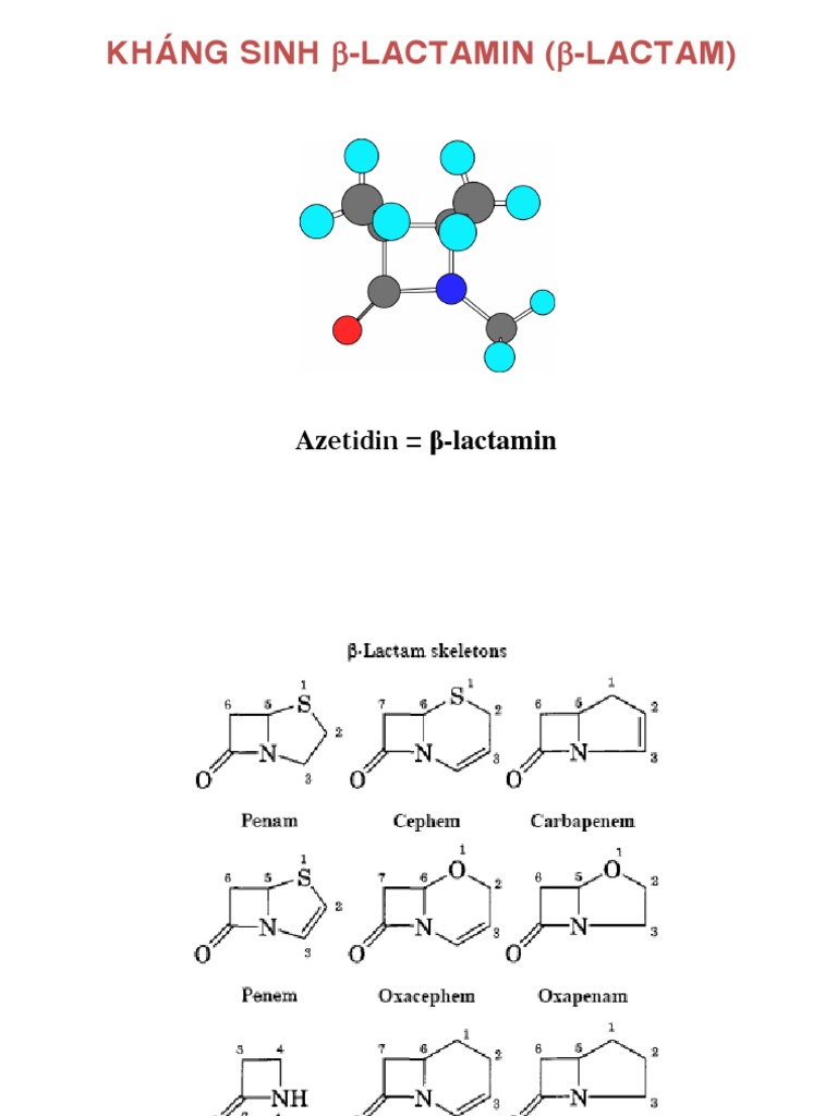 Betalactam IDai HocJanvier 2012.SV PDF Beta Lactamase Antibiotics