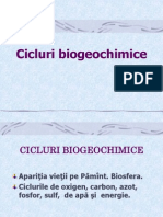 Cicluri Biogeochimice