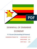 Zimbabwe Downfall