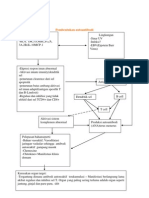 Patogenesis SLE