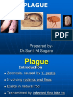 Plague by Dr. Sagare