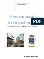San Pedro Del Romeral