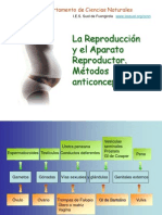 Aparato Reproductor Metodos Anticonceptivos