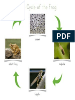 Life Cycle of the Frog Control Chart for Nomenclature Cards