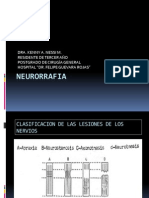 Neurorrafia Seminario Postgrado