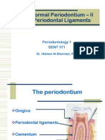 The Normal Periodontium PDL
