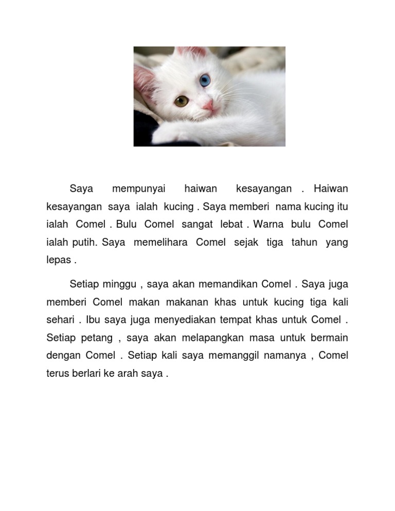 Saya Mempunyai Haiwan Kesayangan Pdf