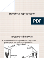 Bryophyta Reproduction