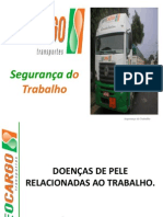 Doenças de Pele Relacionadas Ao Trabalho