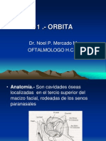 11 Oftalmologia Basica Orbita