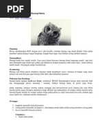 Download Merawat Dan Melatih Burung Hantu by Syarief Kitaru SN151626966 doc pdf