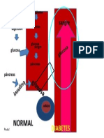Sist Endocrino (Diabetes)