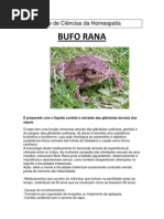 Bufo Rana - Trabalho Homeopatia
