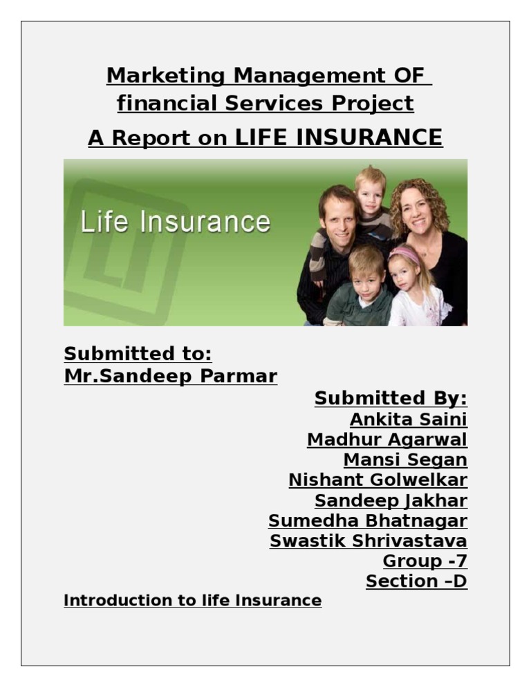 Life Insurance Marketing Report | PDF