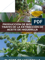 Producción de Biodiesel A Través de La Extracción de Aceite de Higuerilla