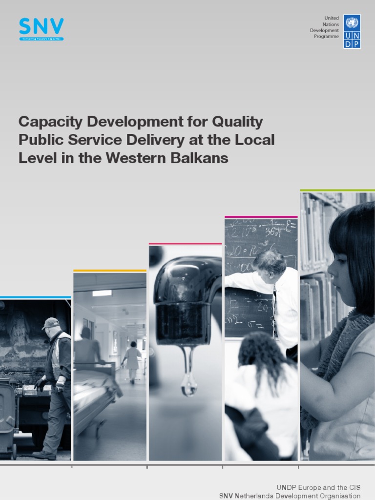 Capacity Development for Local Services | PDF | Capacity Building ...
