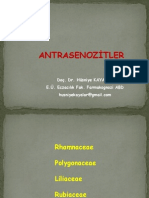 Antrasen 2013