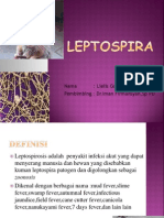 Leptospira Presentasi