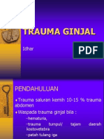 Trauma Ginjale