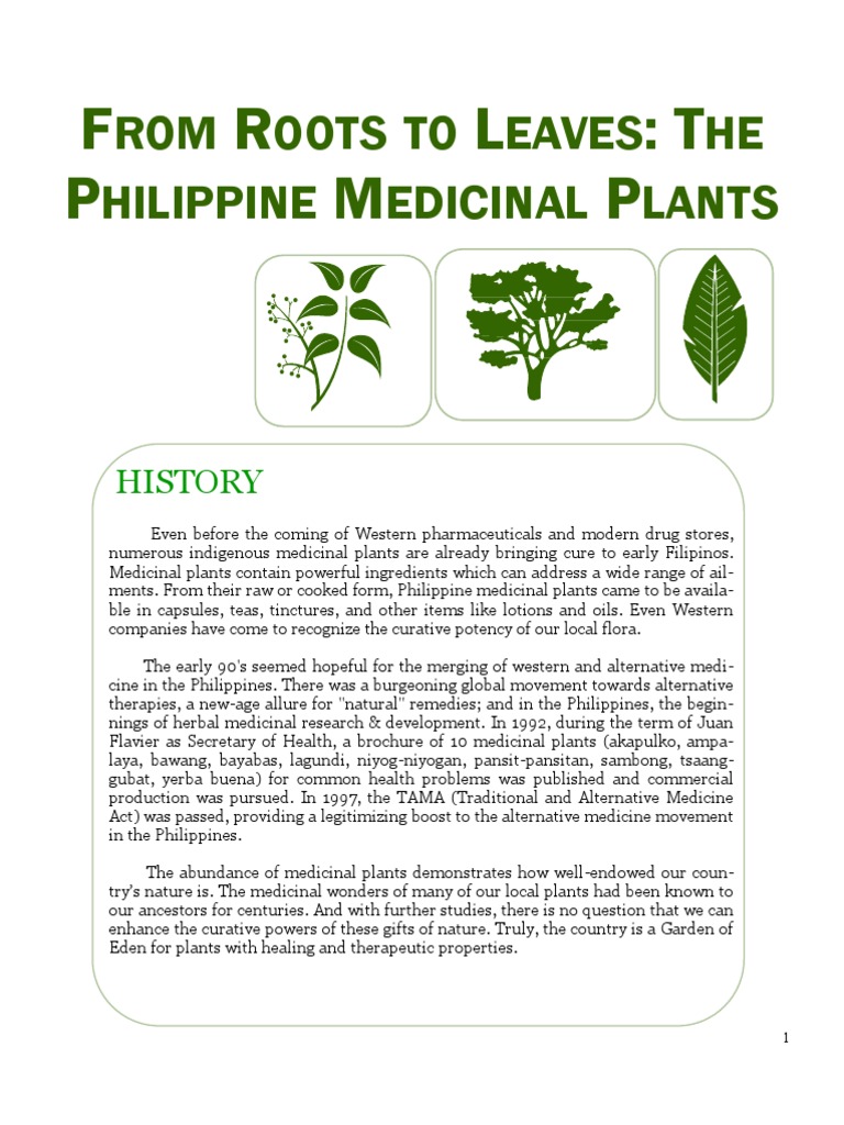 Local Philippine Medicinal plants Herbalism Alternative Medicine
