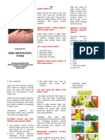 Leaflet Malaria