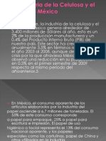 La Industria de La Celulosa y El Papel