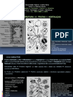 Estrutura Frutas Hortaliças