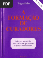 A Formacao de Curadores - Trigueirinho