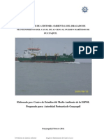 Auditoria Ambiental Informe XVII 02 2011
