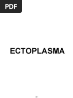 Ectoplasma
