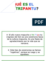 We-Tripantu, la celebración del solsticio de invierno mapuche