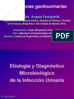 Infecciones Genitourinarias