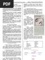 Elementos de Comunicação e Funções da Linguagem