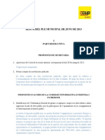 Resum Del Ple Municipal de Juny de 2013 PDF