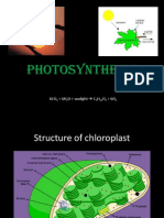 Photosynthesis