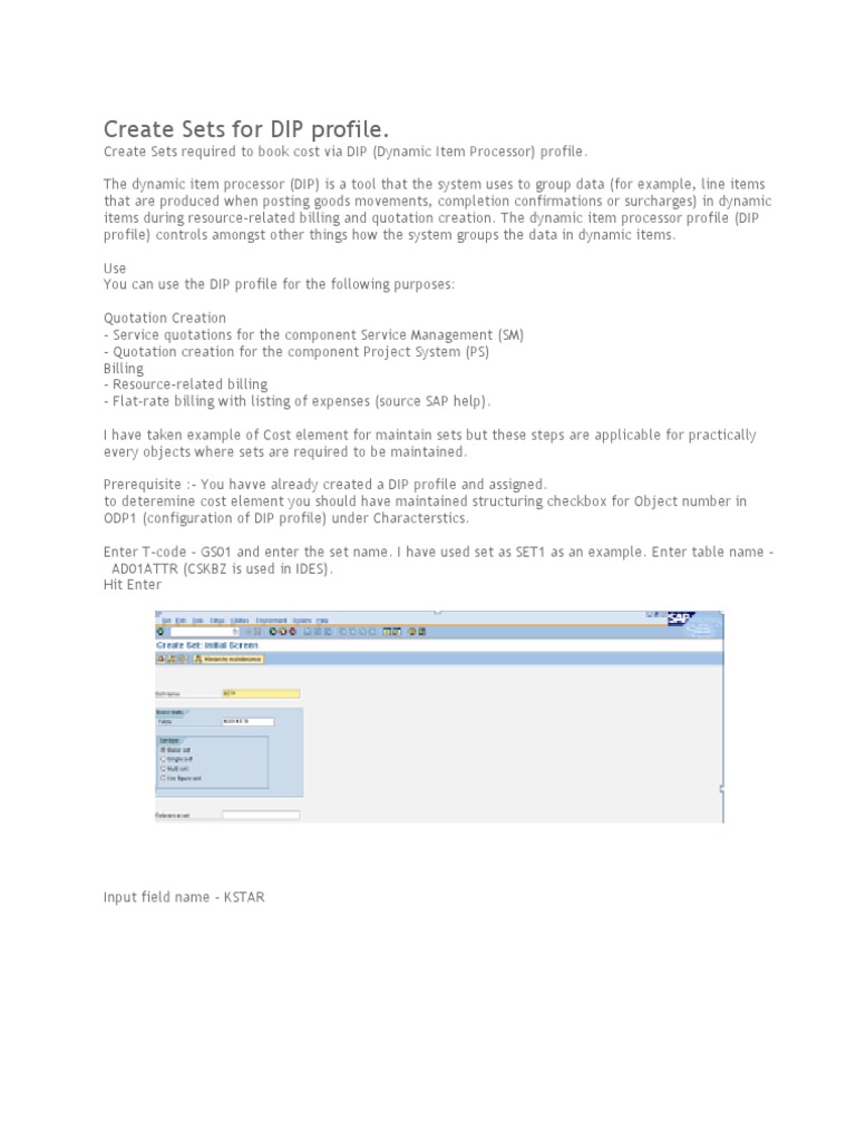 Configuring DIP Profile Sets in SAP | PDF