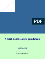 Székely Attila, Dr. - A Tudat-Biopszichológia Paradigmája (2008-As Konferencia) - Metaelméleti Konferencia