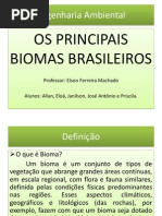 Os Principais Biomas Brasileiros
