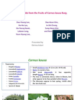 NatPro - Isolation of Flavonoids From the Fruits of Cornus Kousa Burg