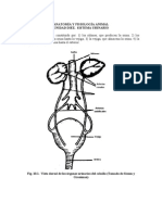 Unidad_X_-_Aparato_Urinario.doc