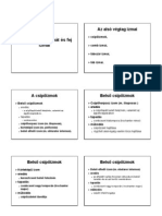 Anatomia Izomtan