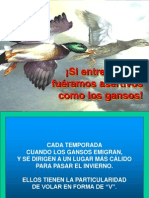 El Vuelo Asertivo