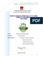 Monografia Responsabilidad Empresarial en El Medio Ambiente