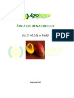 3 Cultivo Del Mango